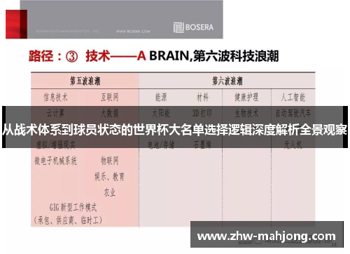 从战术体系到球员状态的世界杯大名单选择逻辑深度解析全景观察