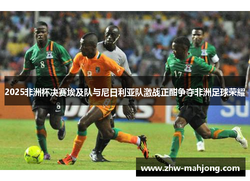 2025非洲杯决赛埃及队与尼日利亚队激战正酣争夺非洲足球荣耀